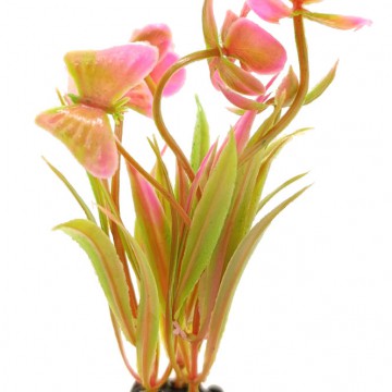 Фото1.Рослина акваріумна, 3х10 см